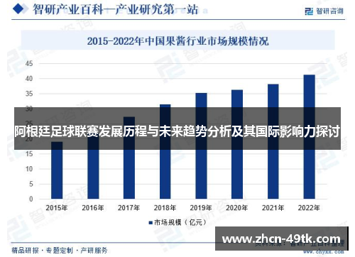 阿根廷足球联赛发展历程与未来趋势分析及其国际影响力探讨